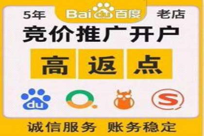 百度推广费用优化策略：成功案例分享